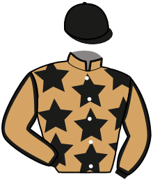 casaque portée par Guelpa J. jockey du cheval de course HEY YOU, information pmu ZETURF