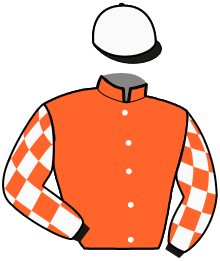 casaque portée par Gelormini G. jockey du cheval de course FALSTAFF FONT, information pmu ZETURF