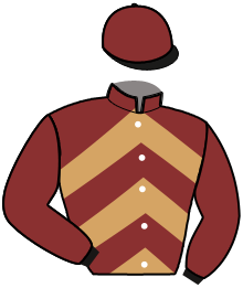 casaque portée par Ploquin Pau. Ph. jockey du cheval de course LEARN TO FLY, information pmu ZETURF