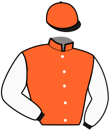 casaque portée par Raffin E. jockey du cheval de course JOB DU PERSIL, information pmu ZETURF