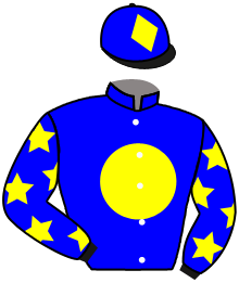 casaque portée par Chesneau A. jockey du cheval de course HIPSTER PARADISE, information pmu ZETURF