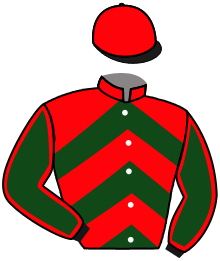 casaque portée par Guillochon J. jockey du cheval de course ANNA MANDARA, information pmu ZETURF