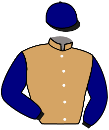 casaque portée par Shoemark K. jockey du cheval de course TROIA, information pmu ZETURF