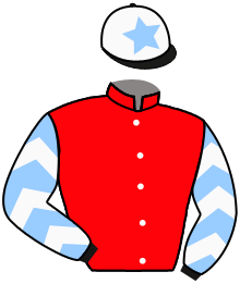 casaque portée par Demuro C. jockey du cheval de course AUGUSTUS, information pmu ZETURF