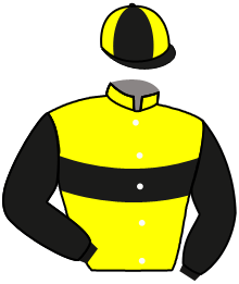 casaque portée par Barzalona M. jockey du cheval de course GRAND STARS, information pmu ZETURF