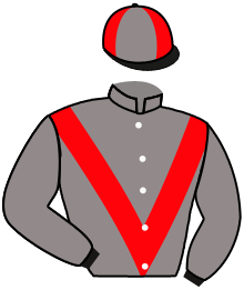 casaque portée par Thomas Ron. jockey du cheval de course EL TIGRE, information pmu ZETURF