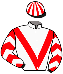 casaque portée par Fresneau L. jockey du cheval de course LYNX DES LOYAUX, information pmu ZETURF
