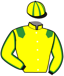 casaque portée par Ploquin Pau. Ph. jockey du cheval de course HECTOR DE MONE, information pmu ZETURF