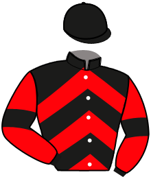 casaque portée par Nivard F. jockey du cheval de course IQUEM MARVIC, information pmu ZETURF