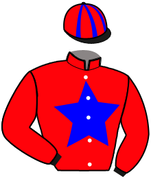 casaque portée par Hardy S. jockey du cheval de course IDOLE JALLERIE, information pmu ZETURF