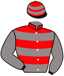 casaque portée par Guyon M. jockey du cheval de course EL RUBIO, information pmu ZETURF