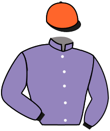 casaque portée par Lecoeuvre C. jockey du cheval de course PURPLE LION, information pmu ZETURF