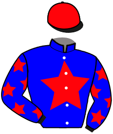 casaque portée par Bonne D. jockey du cheval de course MOLLY JACH, information pmu ZETURF