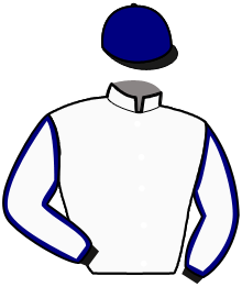 casaque portée par Desmigneux F. jockey du cheval de course MAJESTE DU MENIL, information pmu ZETURF