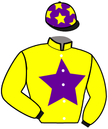 casaque portée par Goglin B. jockey du cheval de course JIPANGA DE NILE, information pmu ZETURF
