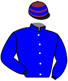 casaque portée par Vercruysse P. jockey du cheval de course IN AMERICA, information pmu ZETURF