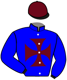 casaque portée par Giard F. jockey du cheval de course IVO SIVED, information pmu ZETURF casaque portée par Giard F. jockey du cheval de course IVO SIVED, information pmu ZETURF