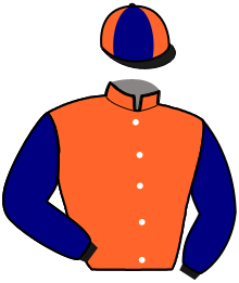 casaque portée par Roulleau P. jockey du cheval de course LEELOU D'ARGOUGES, information pmu ZETURF