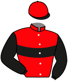 casaque portée par Mekouche Mlle A. jockey du cheval de course THE DIG, information pmu ZETURF