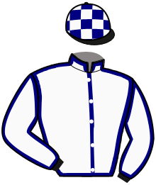 casaque portée par Hardy S. jockey du cheval de course MON ROI, information pmu ZETURF