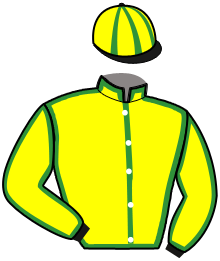 casaque portée par Thomain D. jockey du cheval de course LADY DU CEDRE, information pmu ZETURF