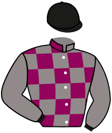 casaque portée par Mendizabal I. jockey du cheval de course LARLIB, information pmu ZETURF