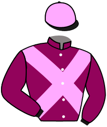 casaque portée par Favriaux Mal. jockey du cheval de course DARYA, information pmu ZETURF