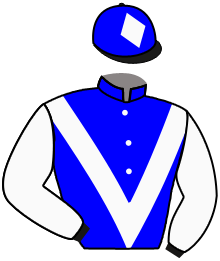 casaque portée par Le Digabel Pie. jockey du cheval de course CANIAR DE LUXE, information pmu ZETURF