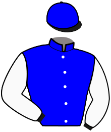 casaque portée par Loccisano E. jockey du cheval de course FAHARAJAH ONE, information pmu ZETURF