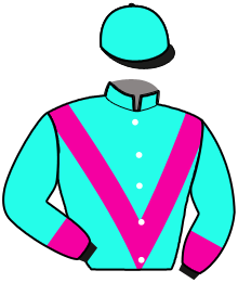 casaque portée par Abrivard A. jockey du cheval de course FRENCIS ZL, information pmu ZETURF