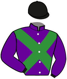 casaque portée par Gaborit L. jockey du cheval de course MAGNIFIQUE IDEE, information pmu ZETURF
