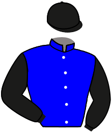 casaque portée par Mendizabal I. jockey du cheval de course LE MATELOT, information pmu ZETURF