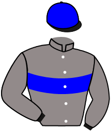 casaque portée par Molins Mme Amb. jockey du cheval de course OCEAN, information pmu ZETURF