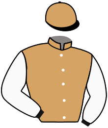 casaque portée par Bendjama A. jockey du cheval de course VICTORY CAT, information pmu ZETURF