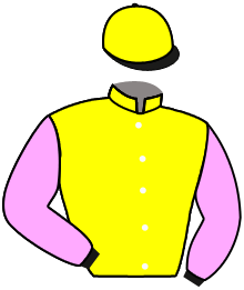 casaque portée par Rodriguez Dav. jockey du cheval de course TIERCEVILLE, information pmu ZETURF