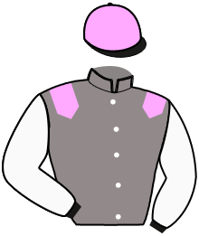 casaque portée par Gaborit L. jockey du cheval de course JOYCE DE LA COUR, information pmu ZETURF