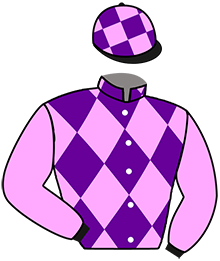 casaque portée par Lamy R. jockey du cheval de course JAGUAR DE ROZEVIC, information pmu ZETURF