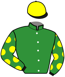 casaque portée par Houyvet S. jockey du cheval de course HELP ME WIN, information pmu ZETURF