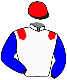 casaque portée par Pageot A. jockey du cheval de course KADOVER, information pmu ZETURF