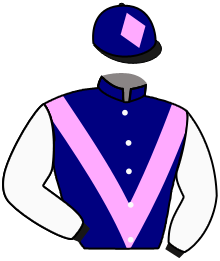 casaque portée par Guillochon J. jockey du cheval de course RETT LIKE, information pmu ZETURF