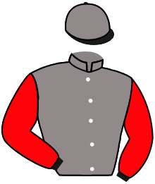 casaque portée par Roussel Leo jockey du cheval de course WAITING FOR YOU, information pmu ZETURF