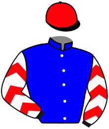 casaque portée par Marquette Max. jockey du cheval de course FLASH MAN, information pmu ZETURF