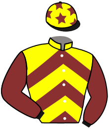casaque portée par Roussel Leo jockey du cheval de course DAHARIZ, information pmu ZETURF