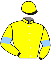casaque portée par Mangione R. jockey du cheval de course TINTEBLEU, information pmu ZETURF