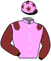 casaque portée par Vidotto E. jockey du cheval de course HALFAC BILOU, information pmu ZETURF