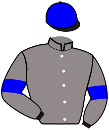 casaque portée par Huchede T. jockey du cheval de course GIORGIO DU VIVIER, information pmu ZETURF