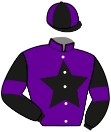 casaque portée par Tintillier A. jockey du cheval de course LADY DES GRAVELS, information pmu ZETURF