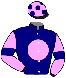 casaque portée par Guitraud C. jockey du cheval de course IRMINA, information pmu ZETURF