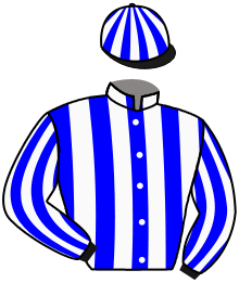 casaque portée par Ouvrier K. jockey du cheval de course BIRCH BLUE, information pmu ZETURF