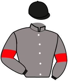 casaque portée par Lizee G. jockey du cheval de course JIRI PACHA, information pmu ZETURF